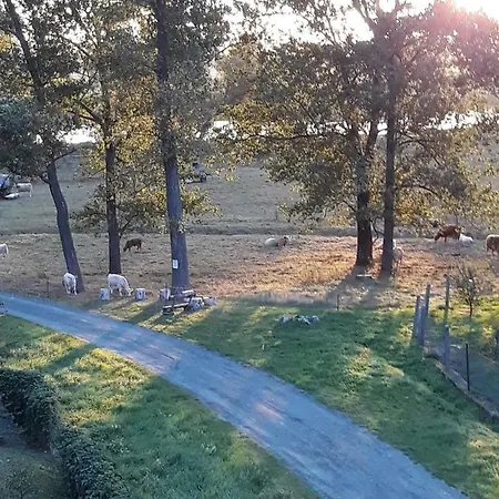 An Den Elbwiesen Gz Fewo Elbeblick Nur Nichtraucher Dommitzsch Exterior photo