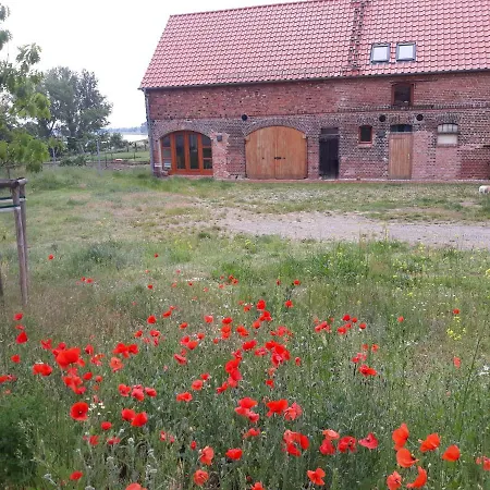 An Den Elbwiesen Gz Fewo Elbeblick Nur Nichtraucher Dommitzsch Exterior photo